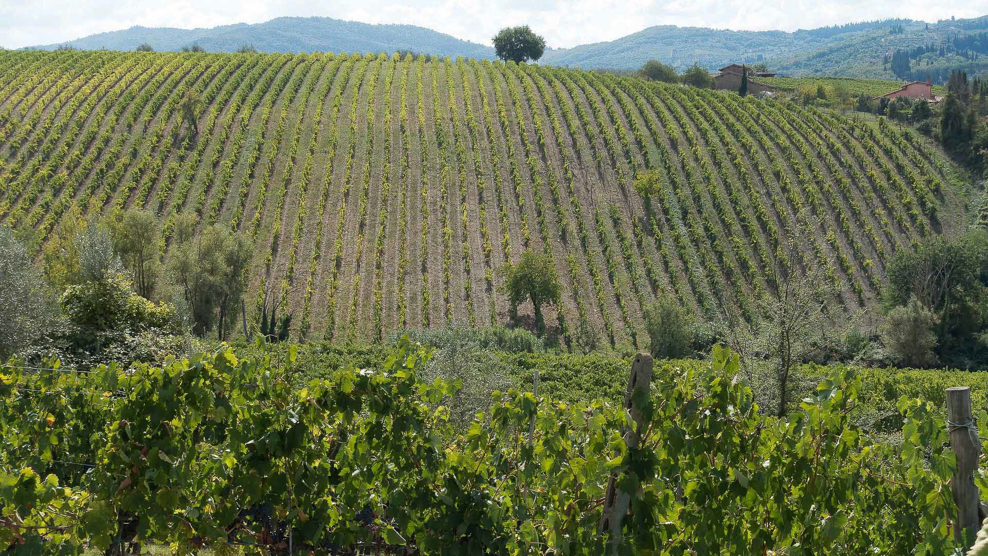 FH55 Hotels - Itineraries in Tuscany starting from Fiesole 1