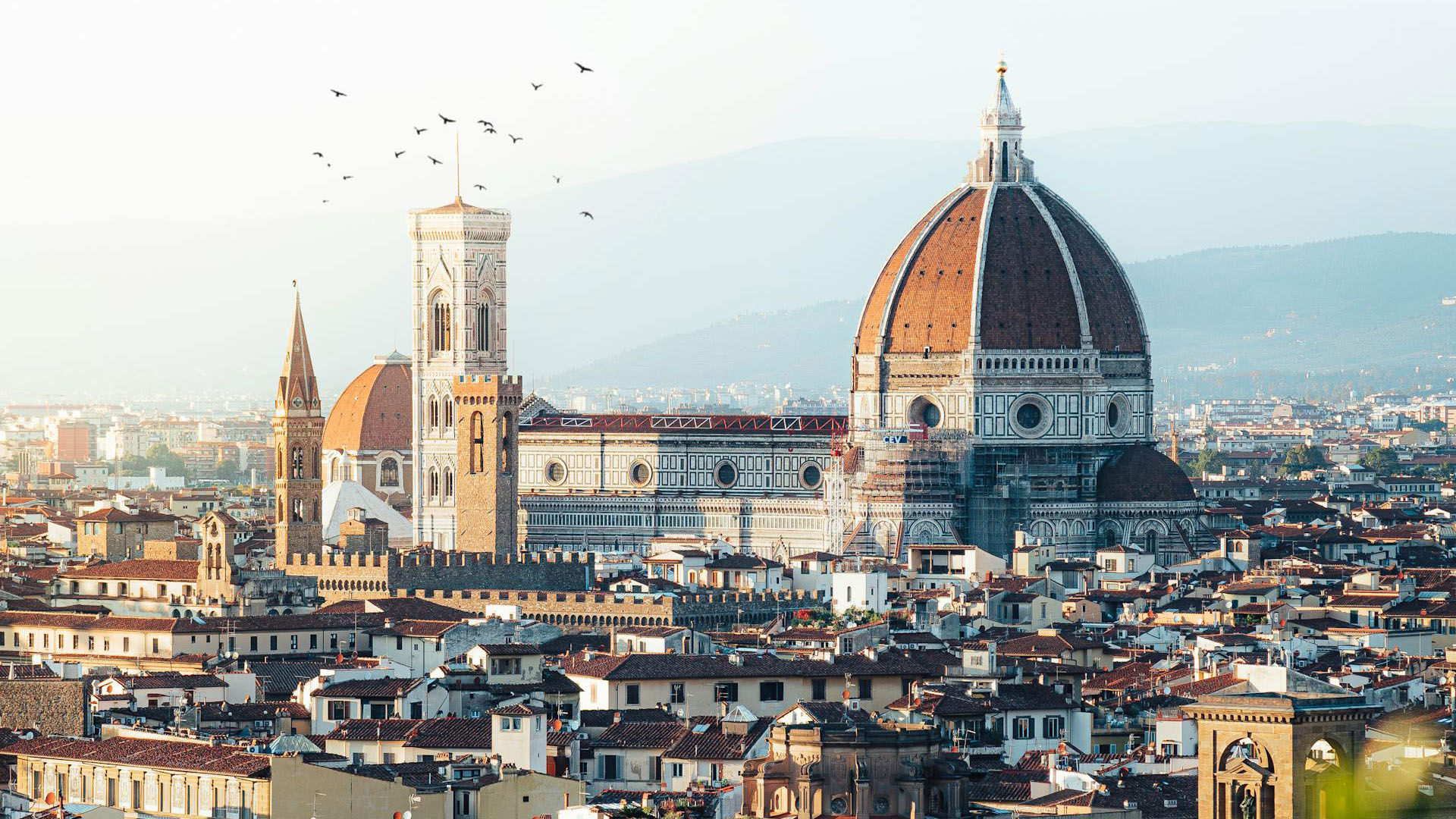 FH55 Hotels - Free museums in Florence 1