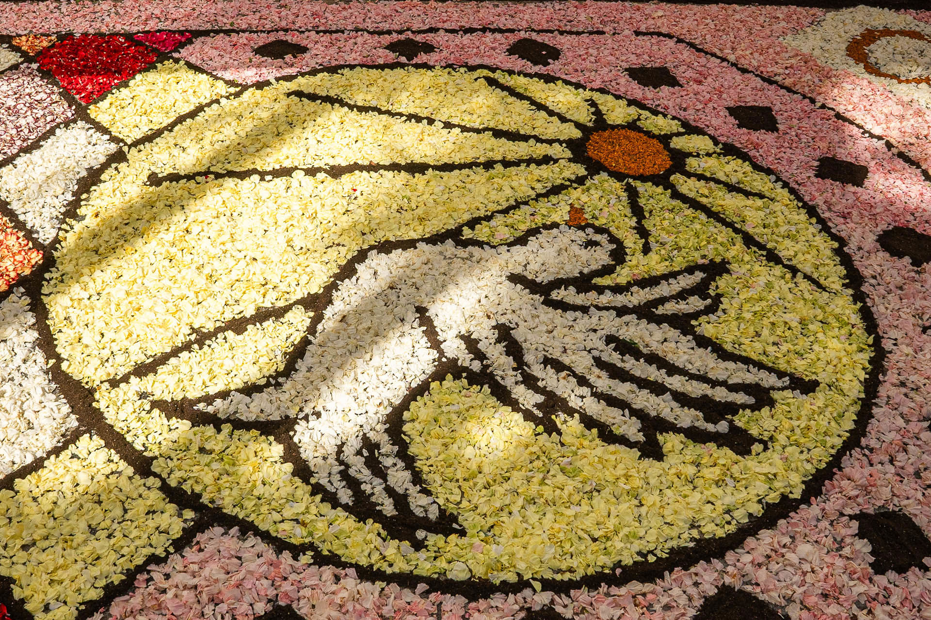 FH55 Hotels - Feast of Saints Peter and Paul in Rome 2026: Events, Fireworks and Traditions 1