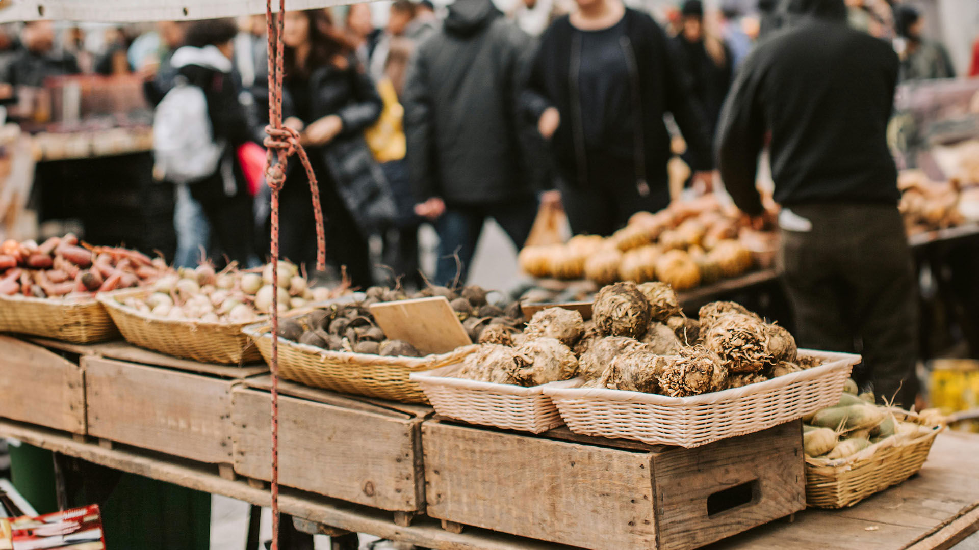 FH55 Hotels - Tour enogastronomici in Toscana: cosa fare in autunno nelle colline toscane 1