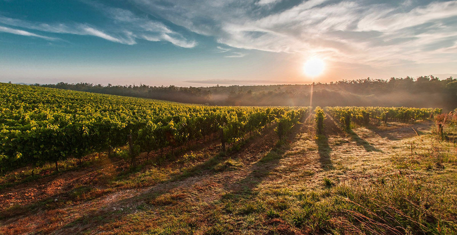 FH55 Hotels - Tour enogastronomici in Toscana: cosa fare in autunno nelle colline toscane 1