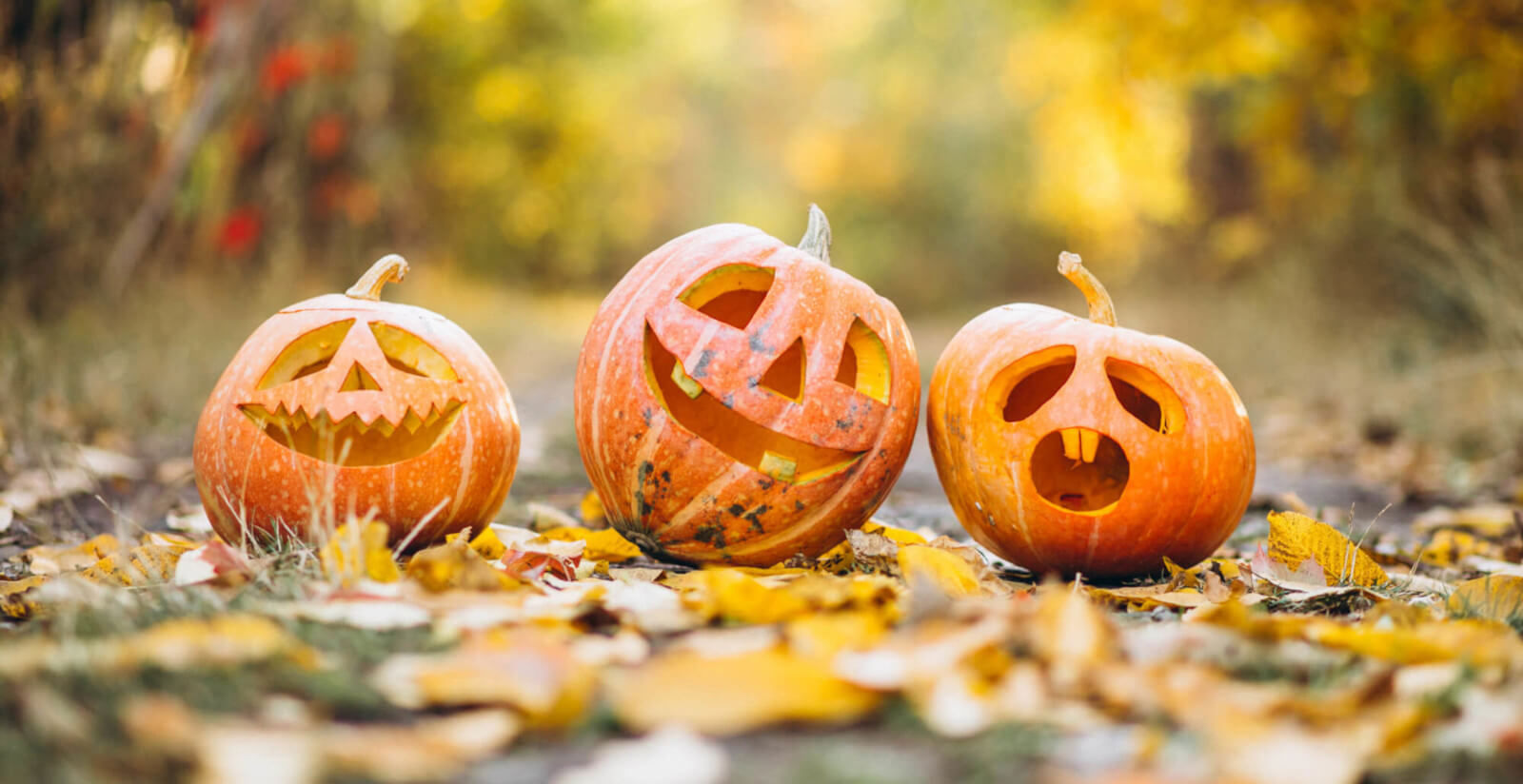 pic nic chef michelin