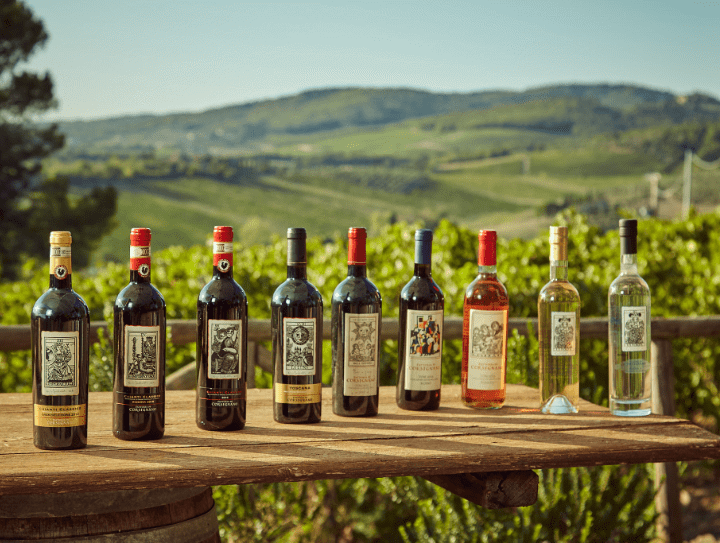 Degustazioni e wine tour in zona
