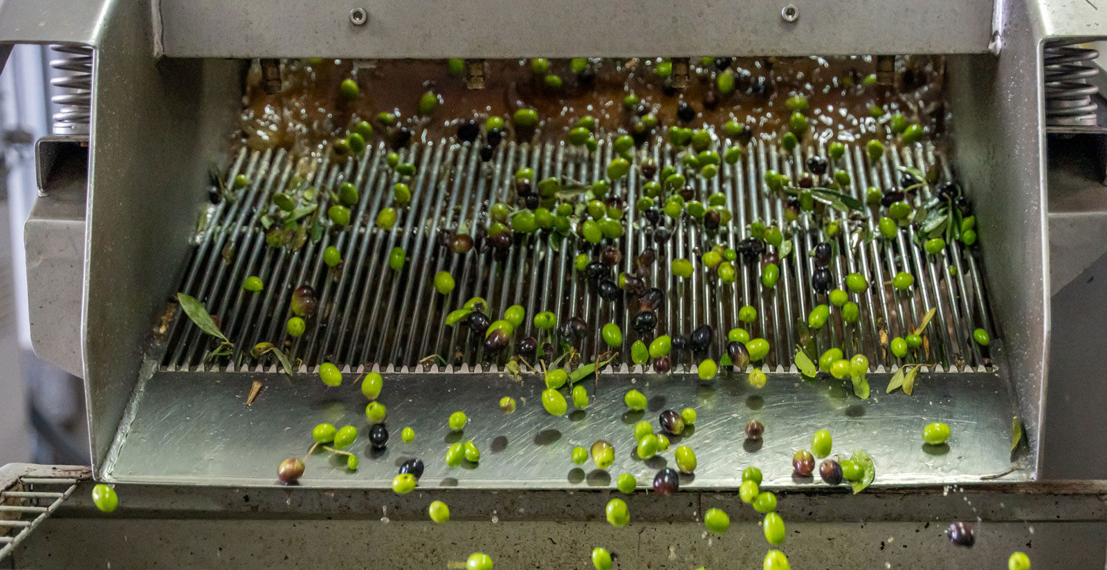 Vecchio Borgo di Inalbi - Frantoio 5