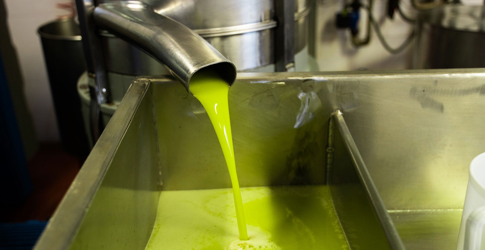 Vecchio Borgo di Inalbi - Frantoio 6