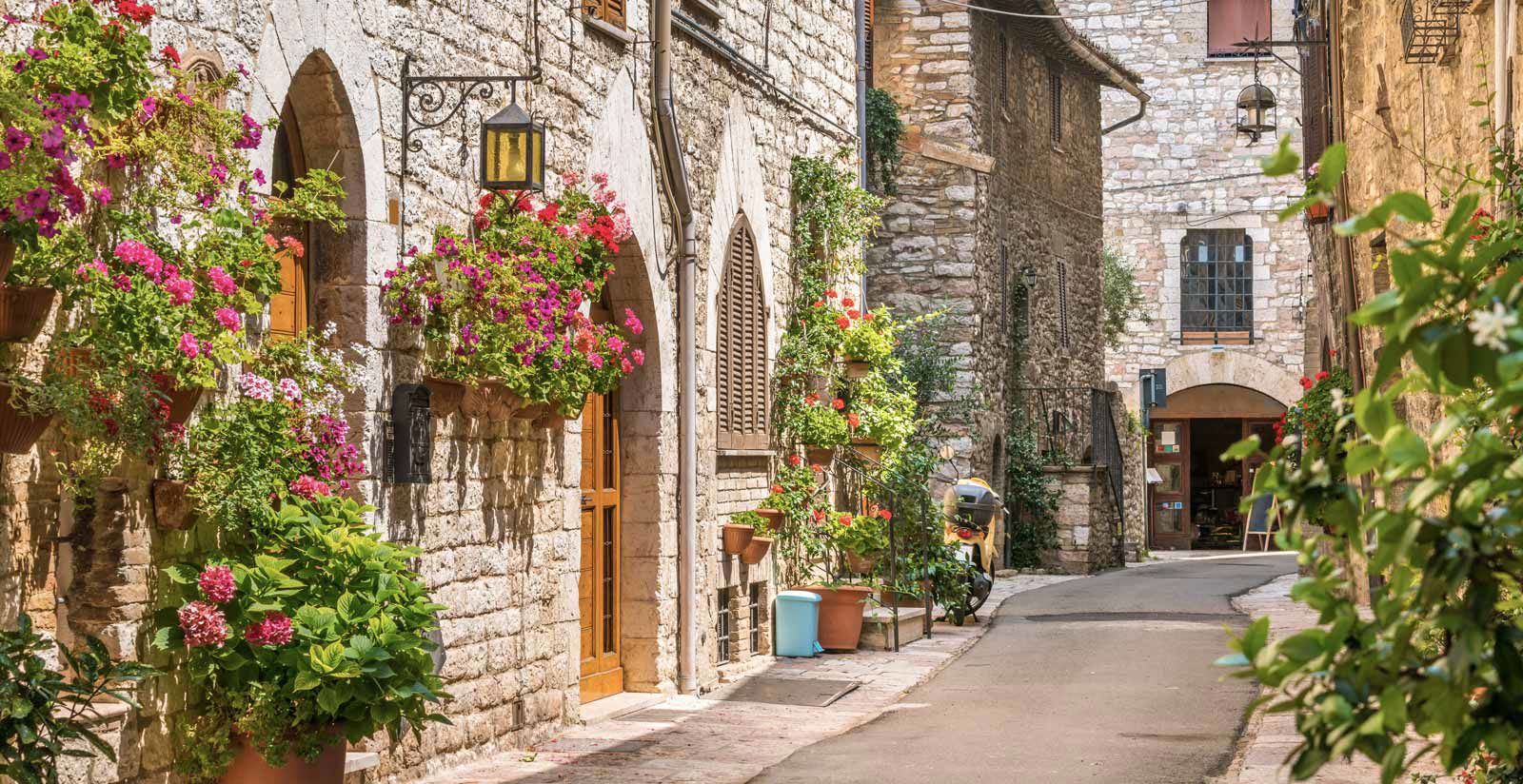 Location & Surroundings 4