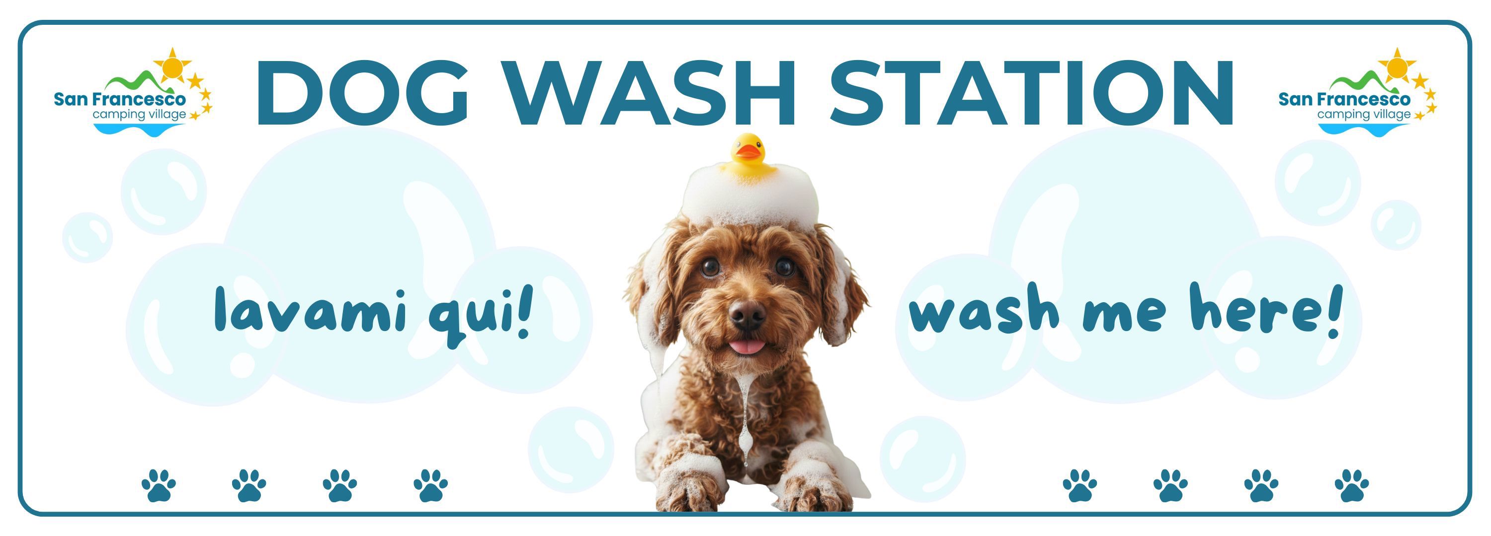 NEW26 - Dog Wash Station! 1