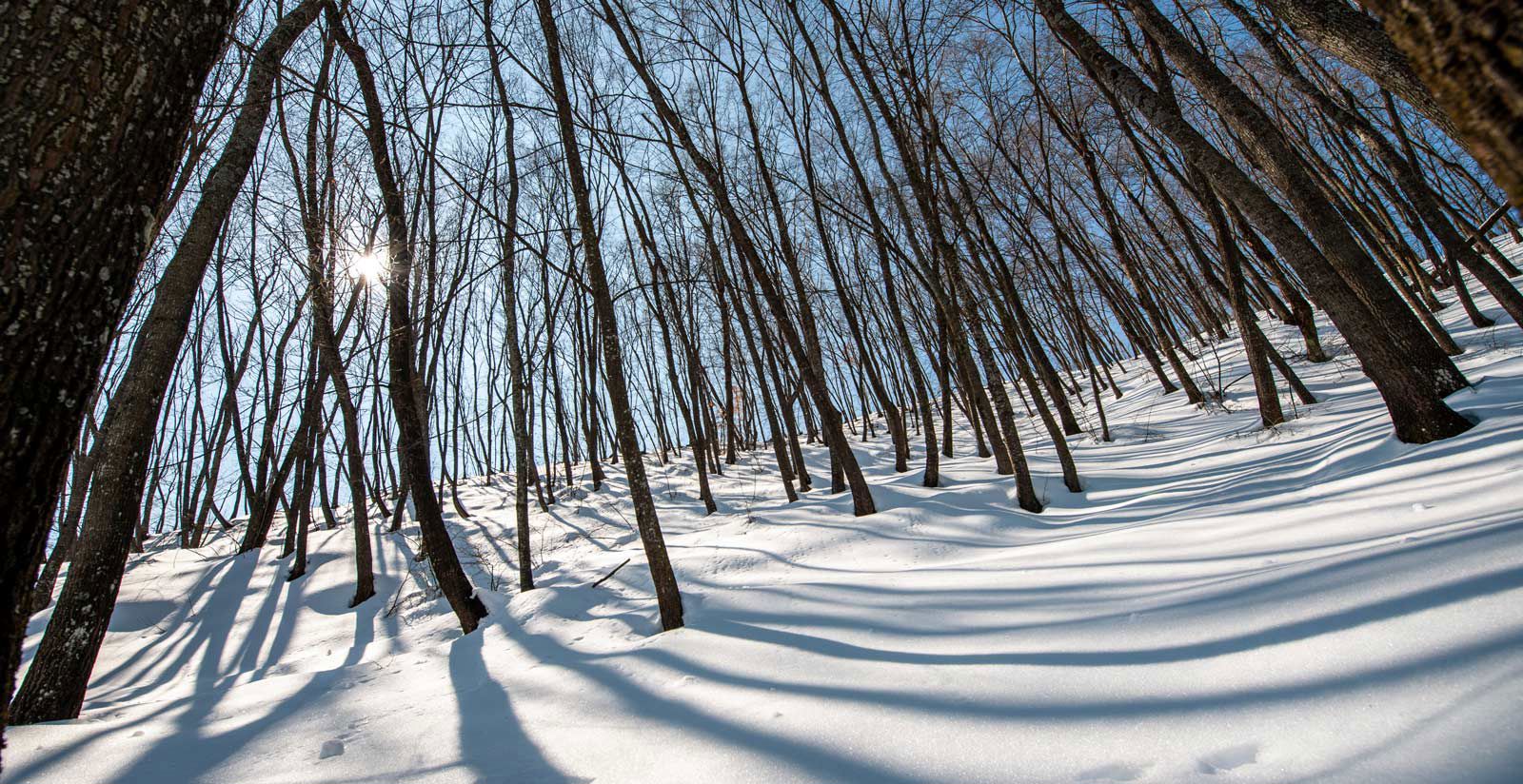 Helvetia - Visitare l