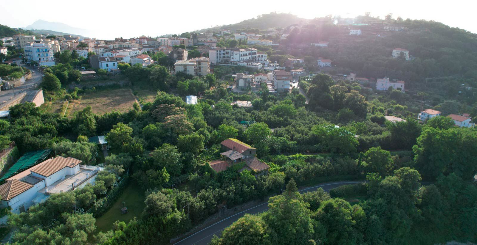 Immersed in the greenery of walnut trees ... 7