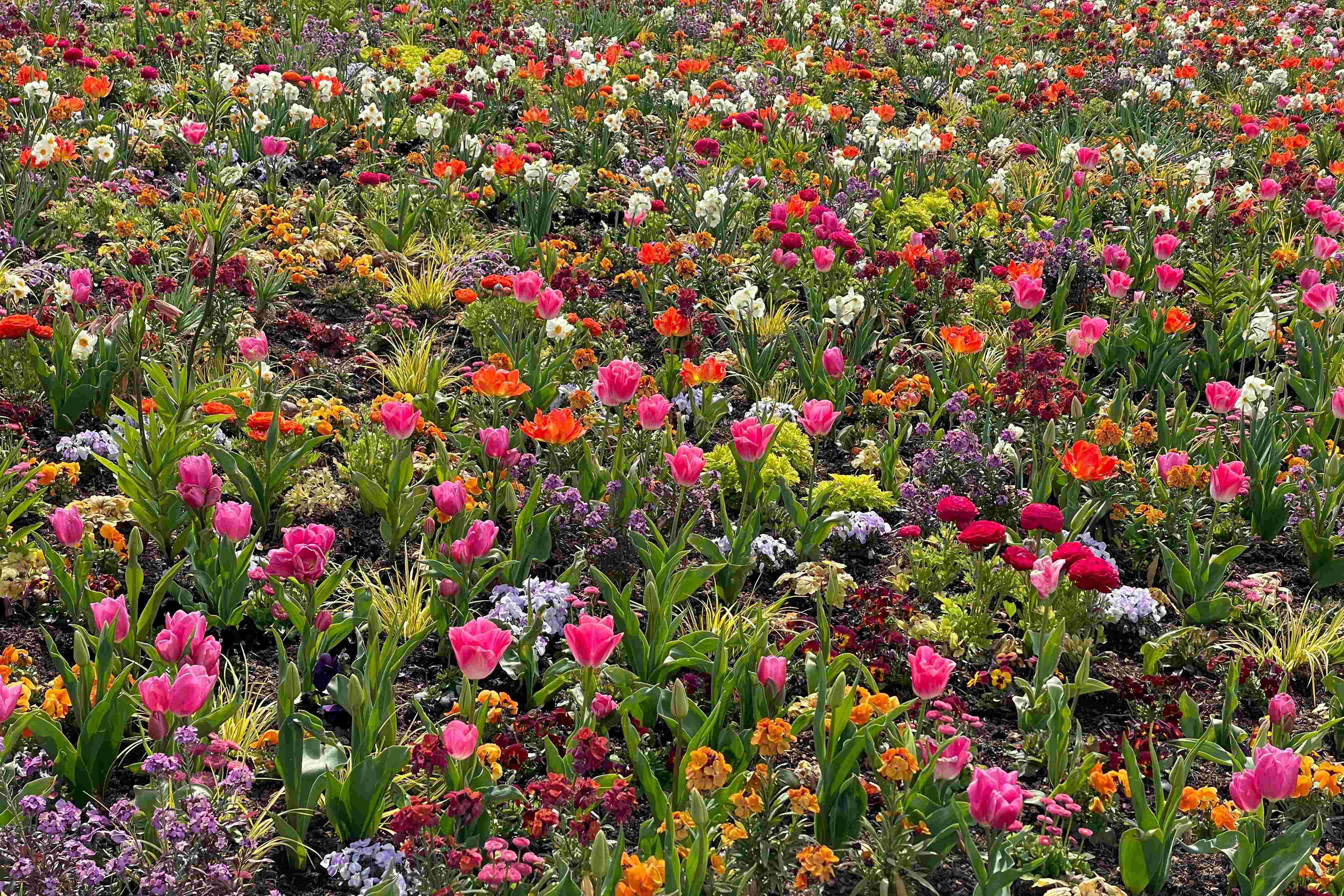 Flowers. Art from the Renaissance to AI 1