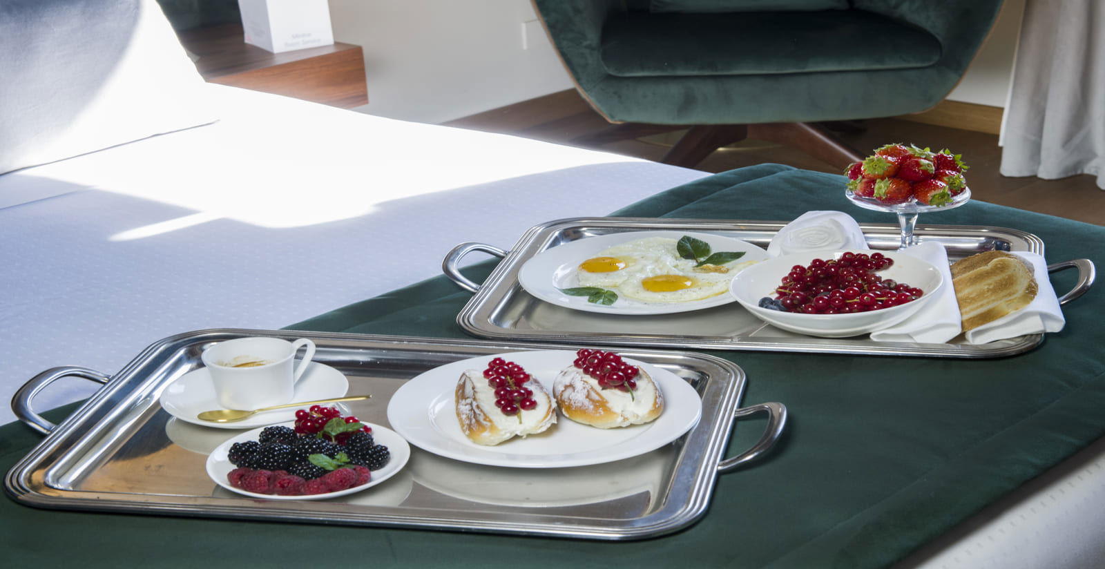 Deluxe Suite Rosetta 8