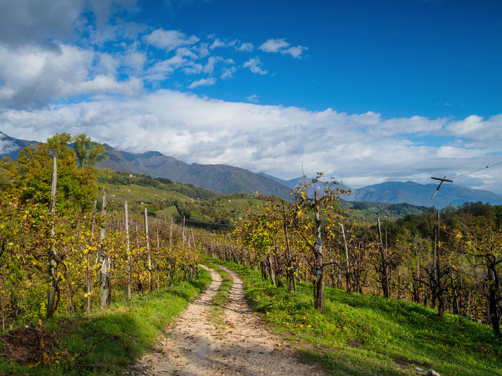 Pacchetti & Promozioni 13