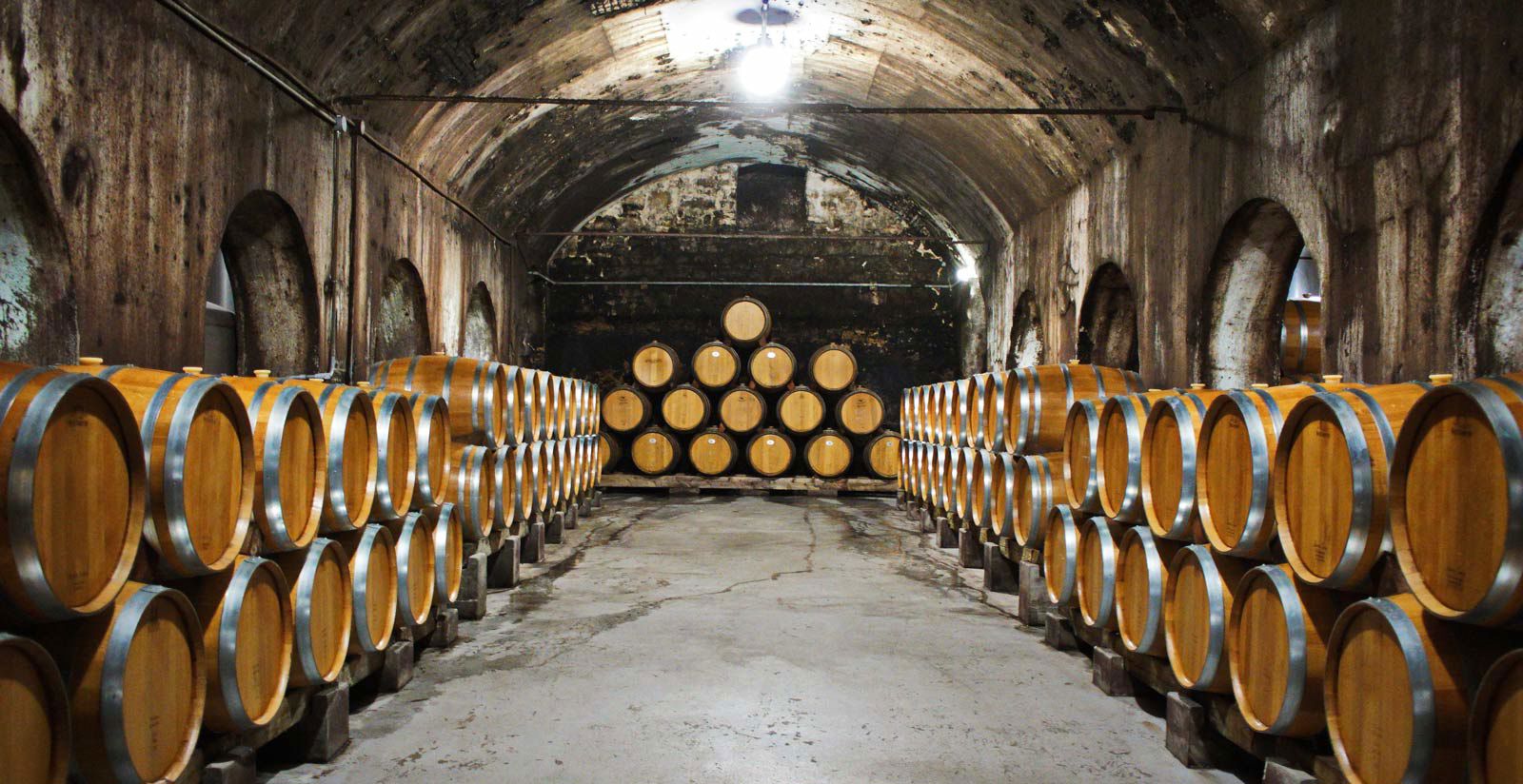 Antichi vitigni autoctoni: nel regno del Nero d Antichi vitigni autoctoni: nel regno del Nero d