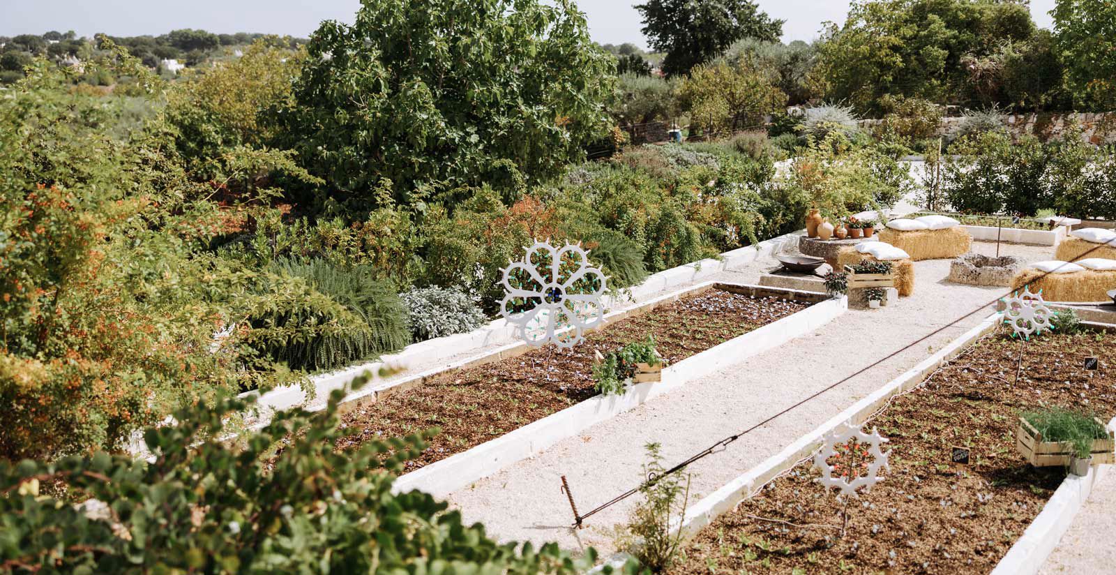 Tenuta Del Lauro - Offerte 7