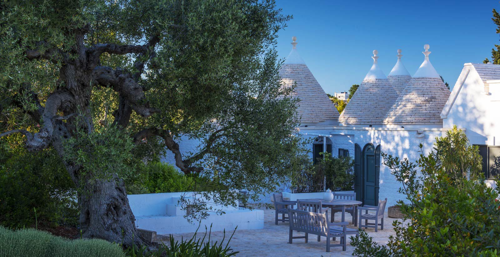 Tenuta Del Lauro - Privacy 8