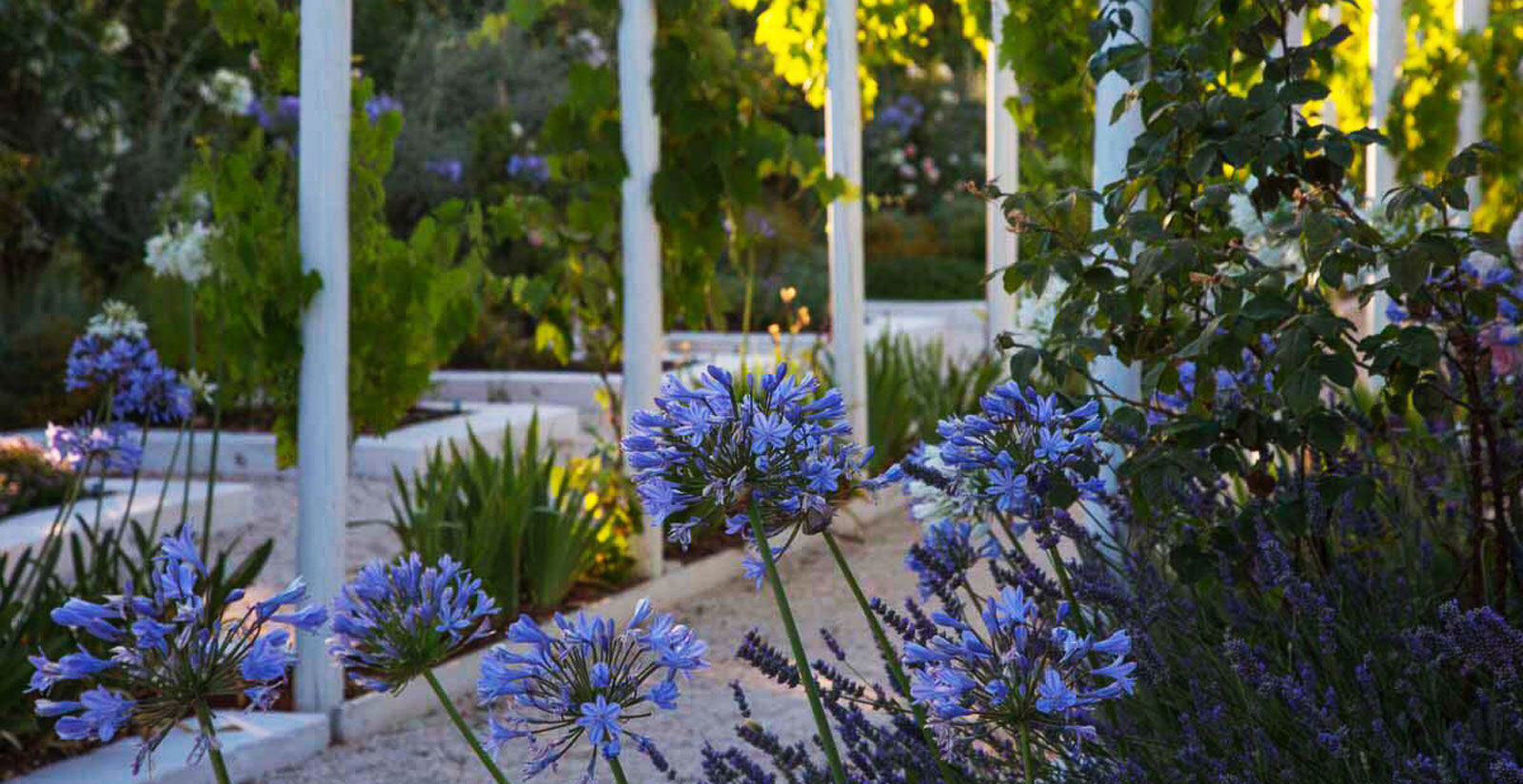 Tenuta Del Lauro - Location 8 Tenuta Del Lauro - Location 8