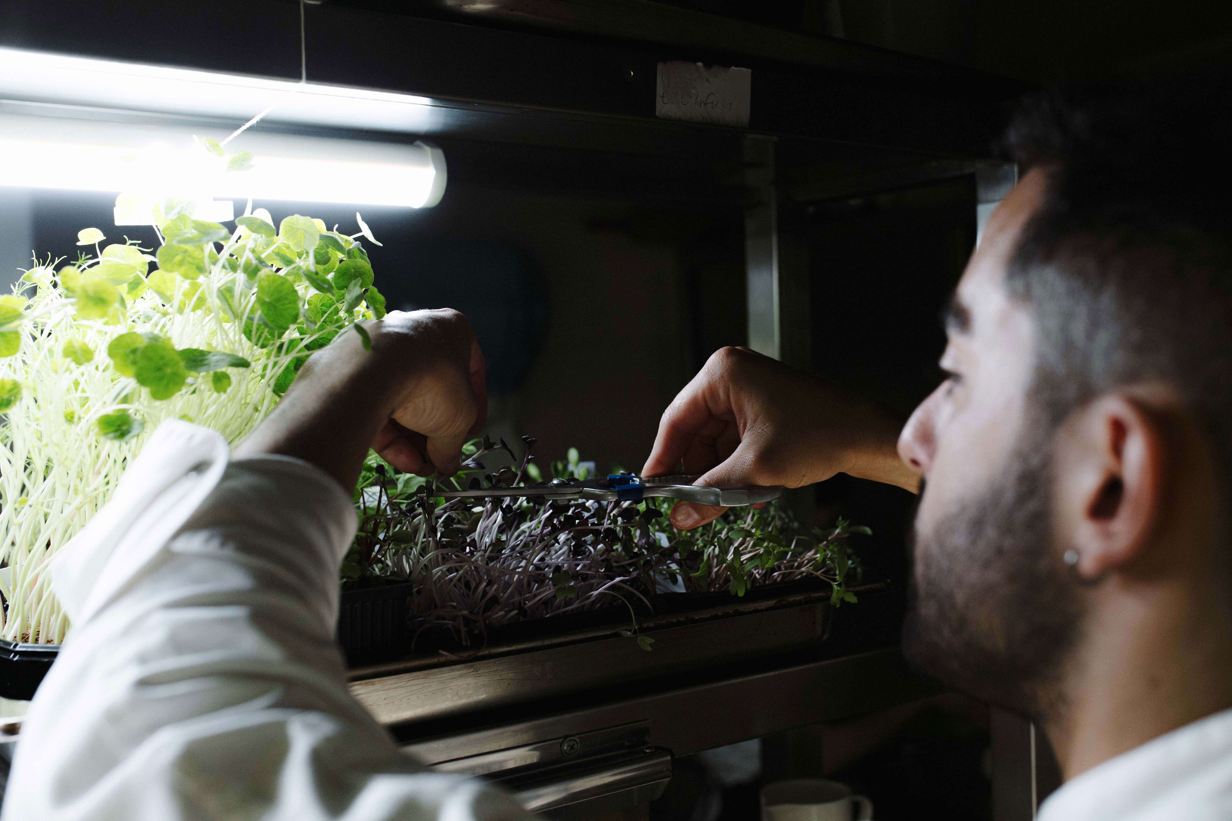 Zéphyr Restaurant 14