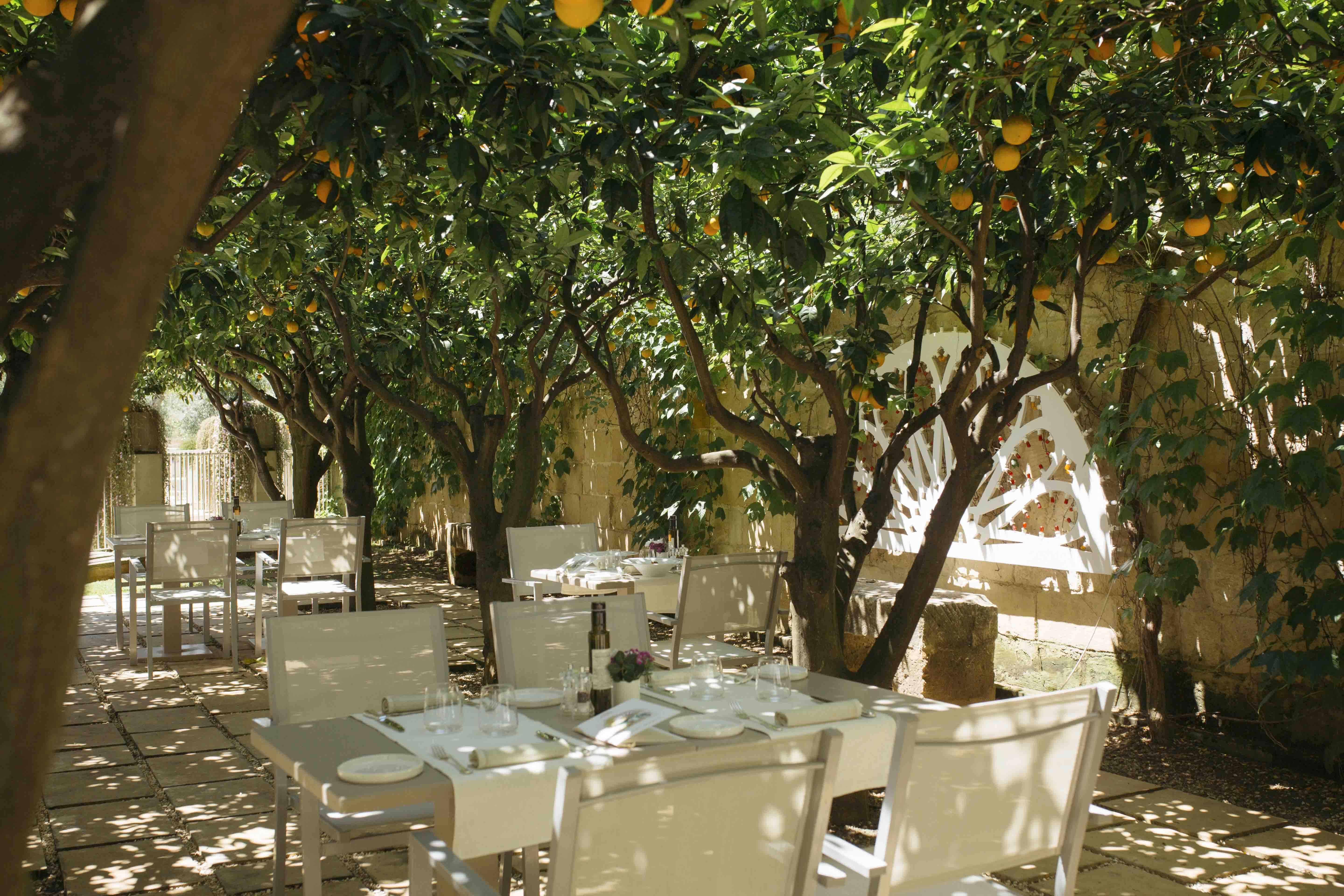 Zéphyr Restaurant 16