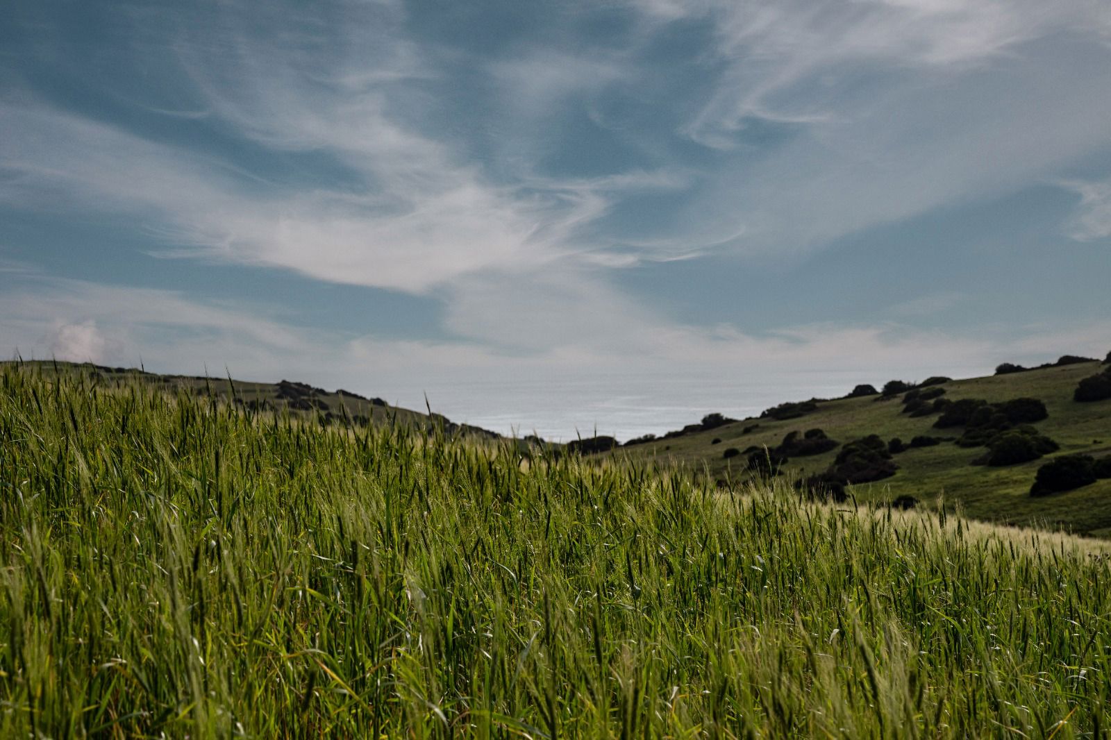 Regional natural park 14