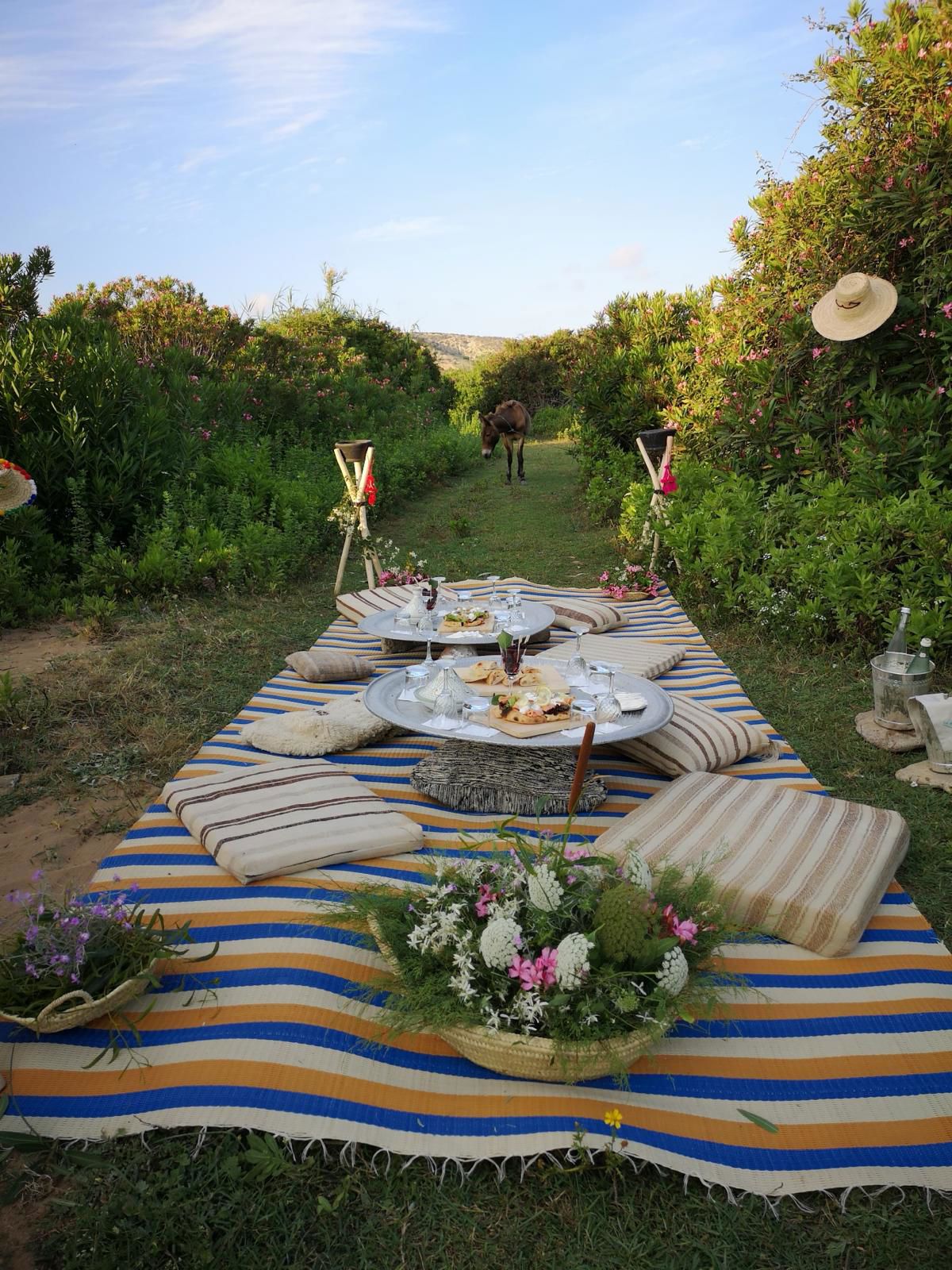 pic_nic_cavallo.jpg pic_nic_cavallo.jpg