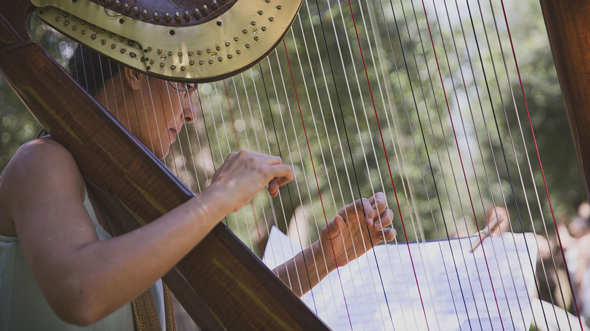 MICE & private events 8