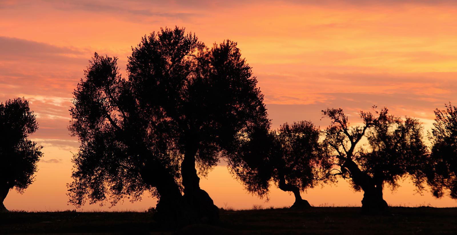 Lecce et le Salento 6