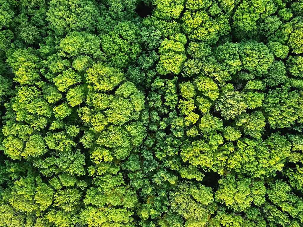 The Promenade Luxury Wellness Hotel 10