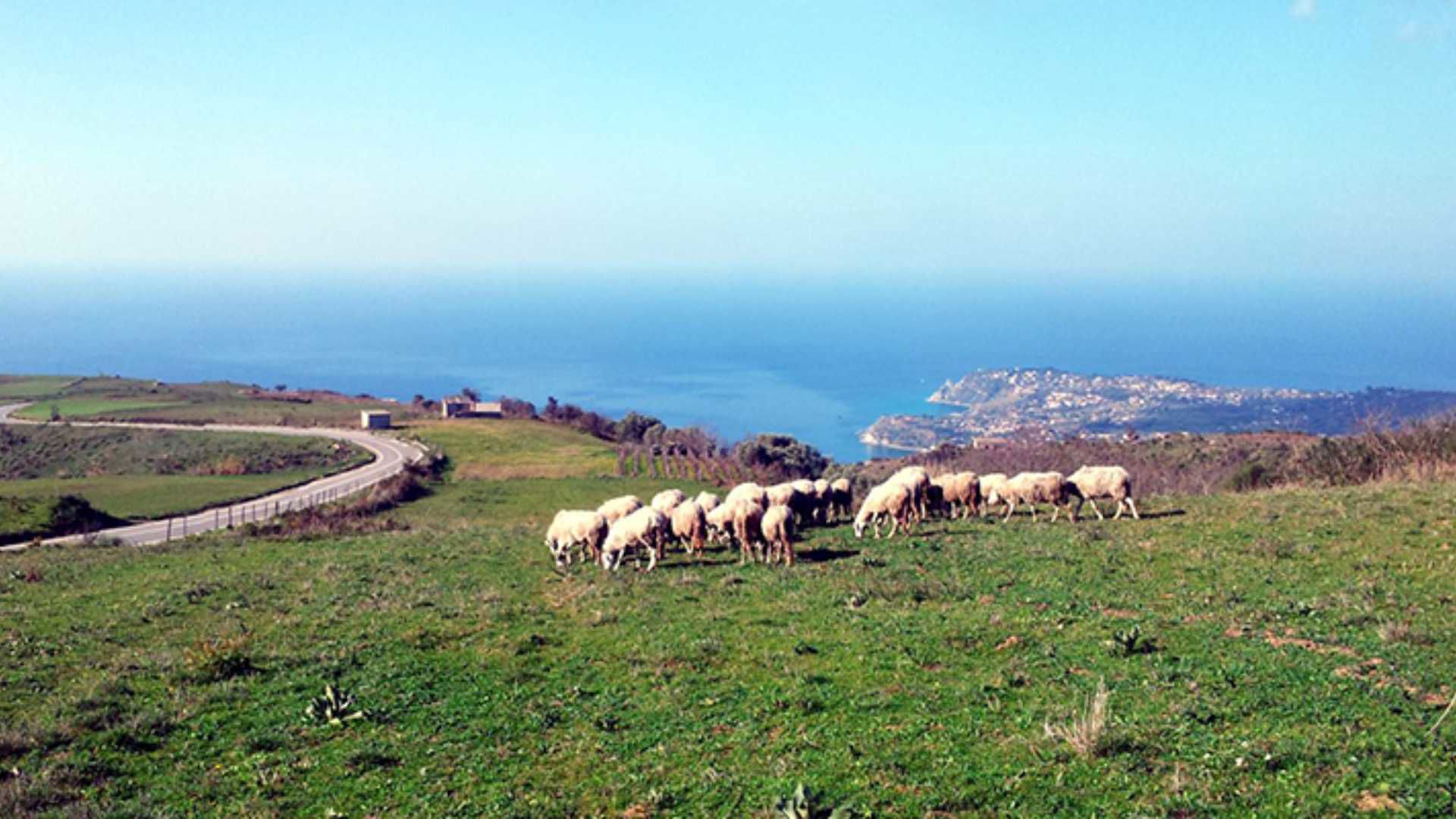 Capovaticano Resort - In the Wild Heart of Monte Poro 28