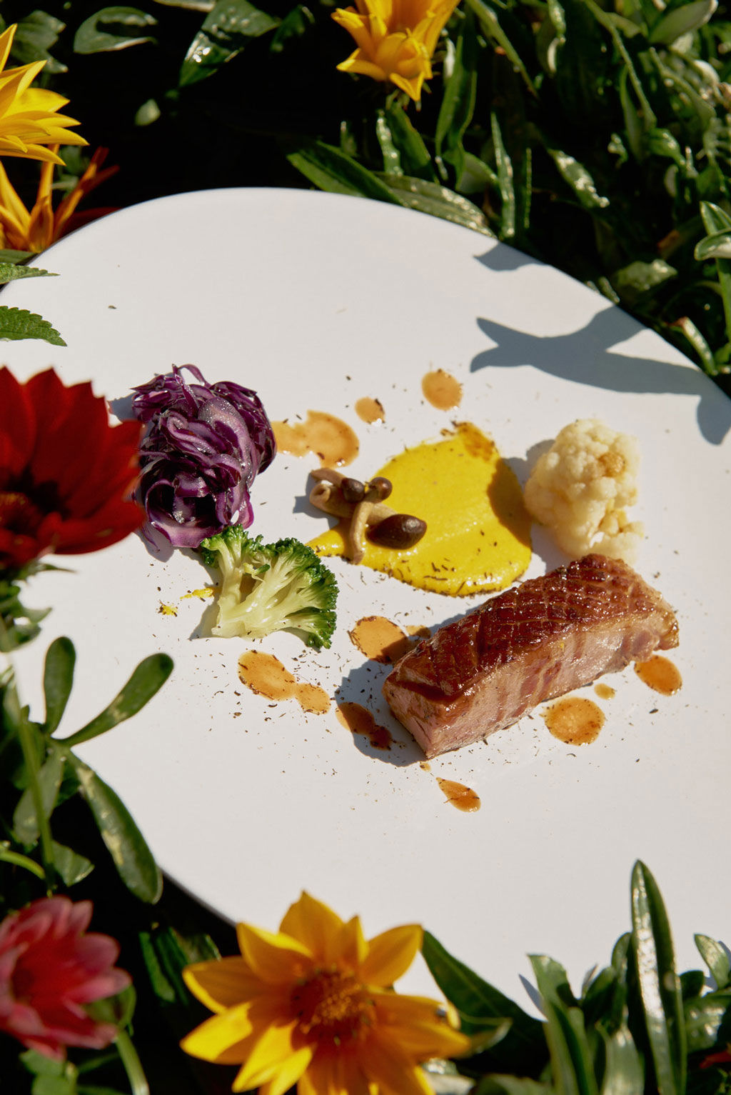 Capovaticano Resort - Ursino Bio 20