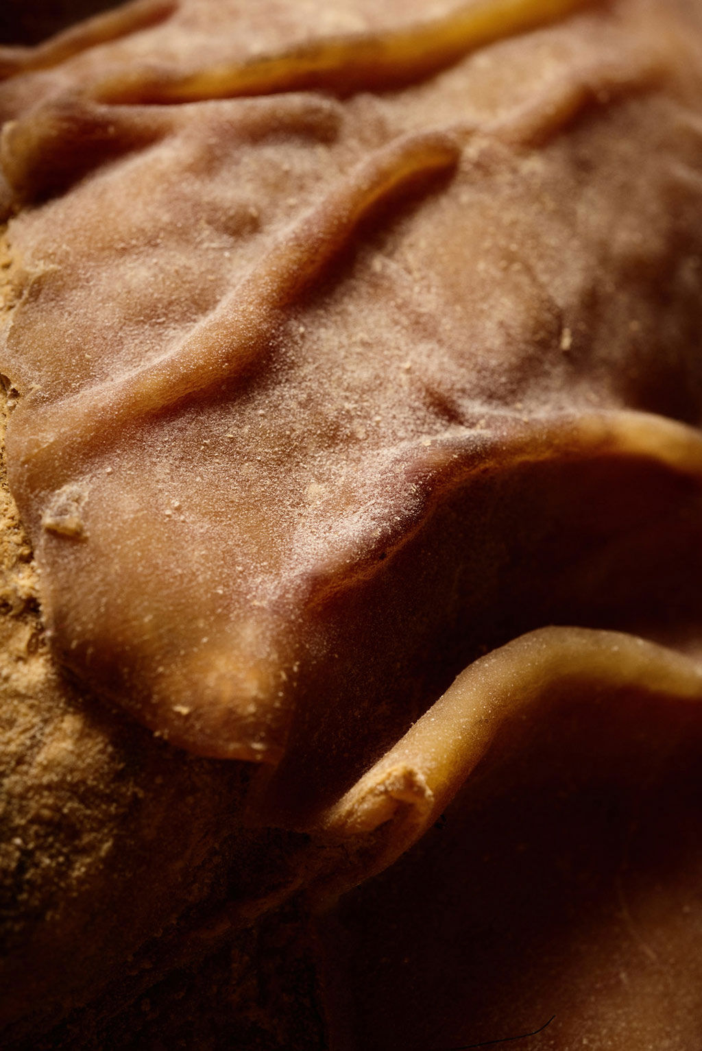 Capovaticano Resort - Nero Calabrese Ferrari 20 Capovaticano Resort - Nero Calabrese Ferrari 20