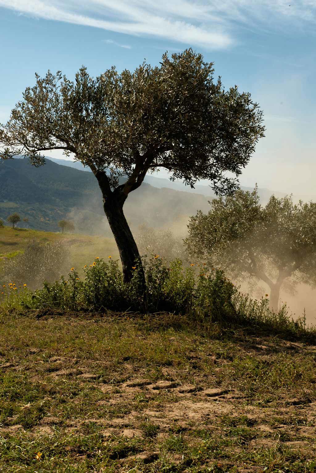 Capovaticano Resort - La Valle-Öl 20 Capovaticano Resort - La Valle-Öl 20