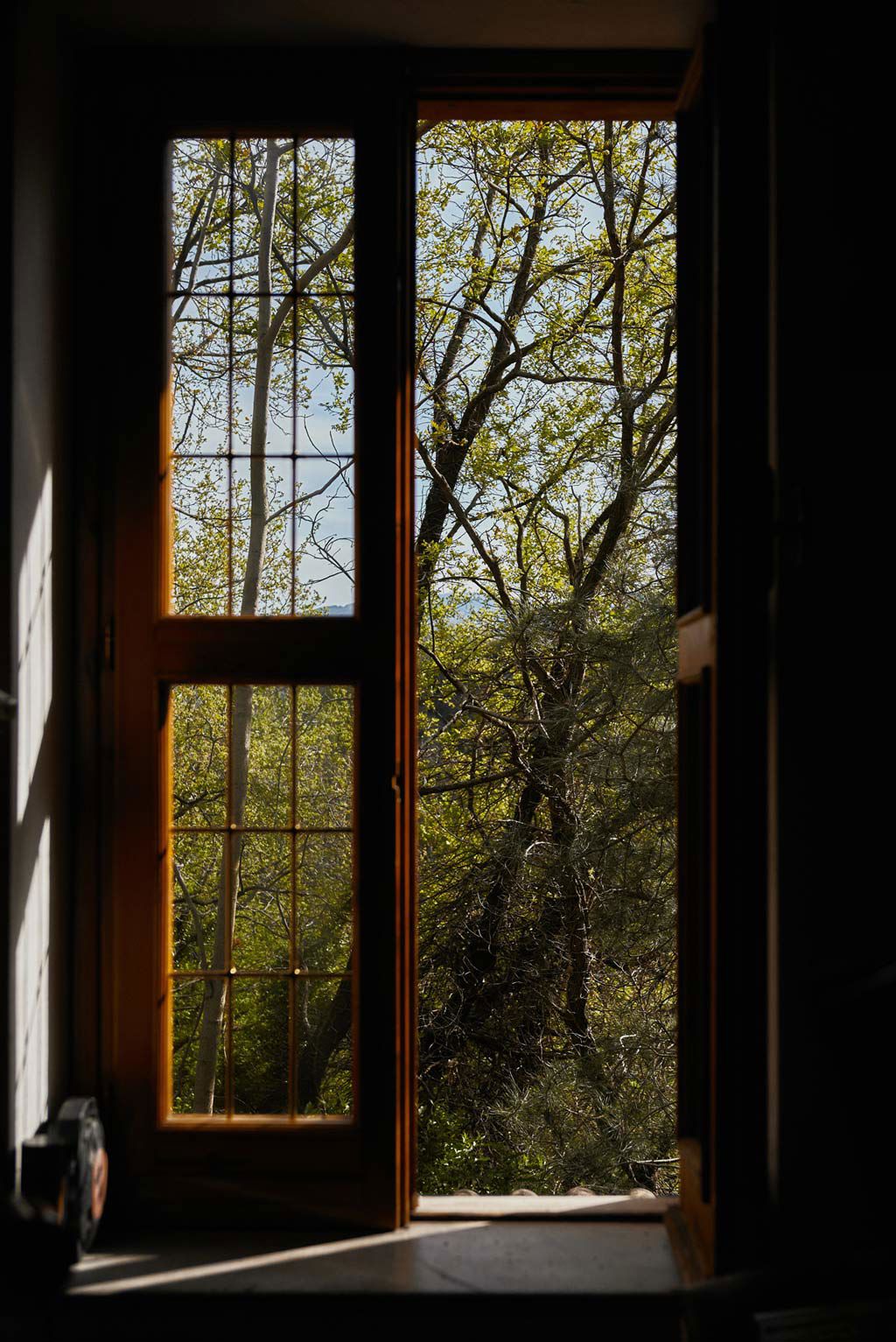 Capovaticano Resort - Nero Calabrese Ferrari 20 Capovaticano Resort - Nero Calabrese Ferrari 20