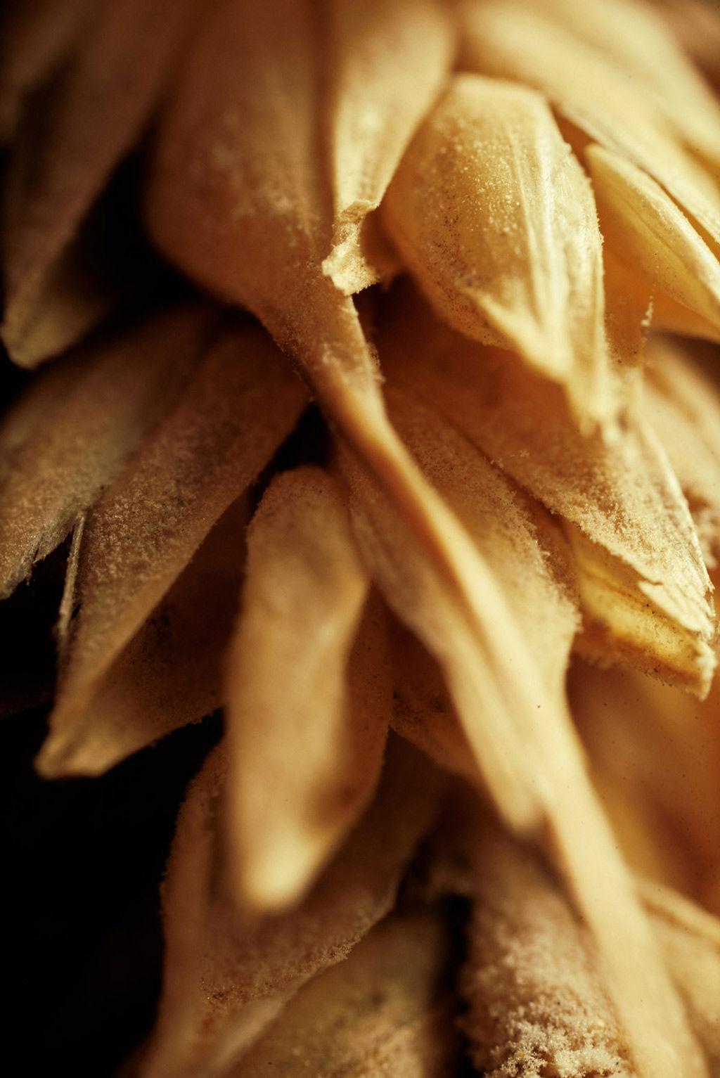 Capovaticano Resort - Molino Antica Macina 20 Capovaticano Resort - Molino Antica Macina 20