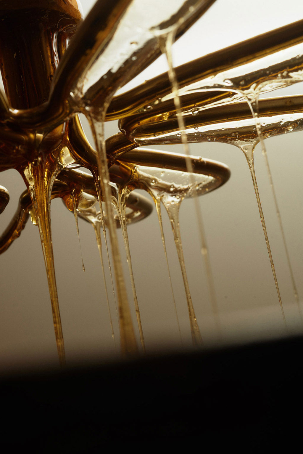 Capovaticano Resort - Ursino Bio 20