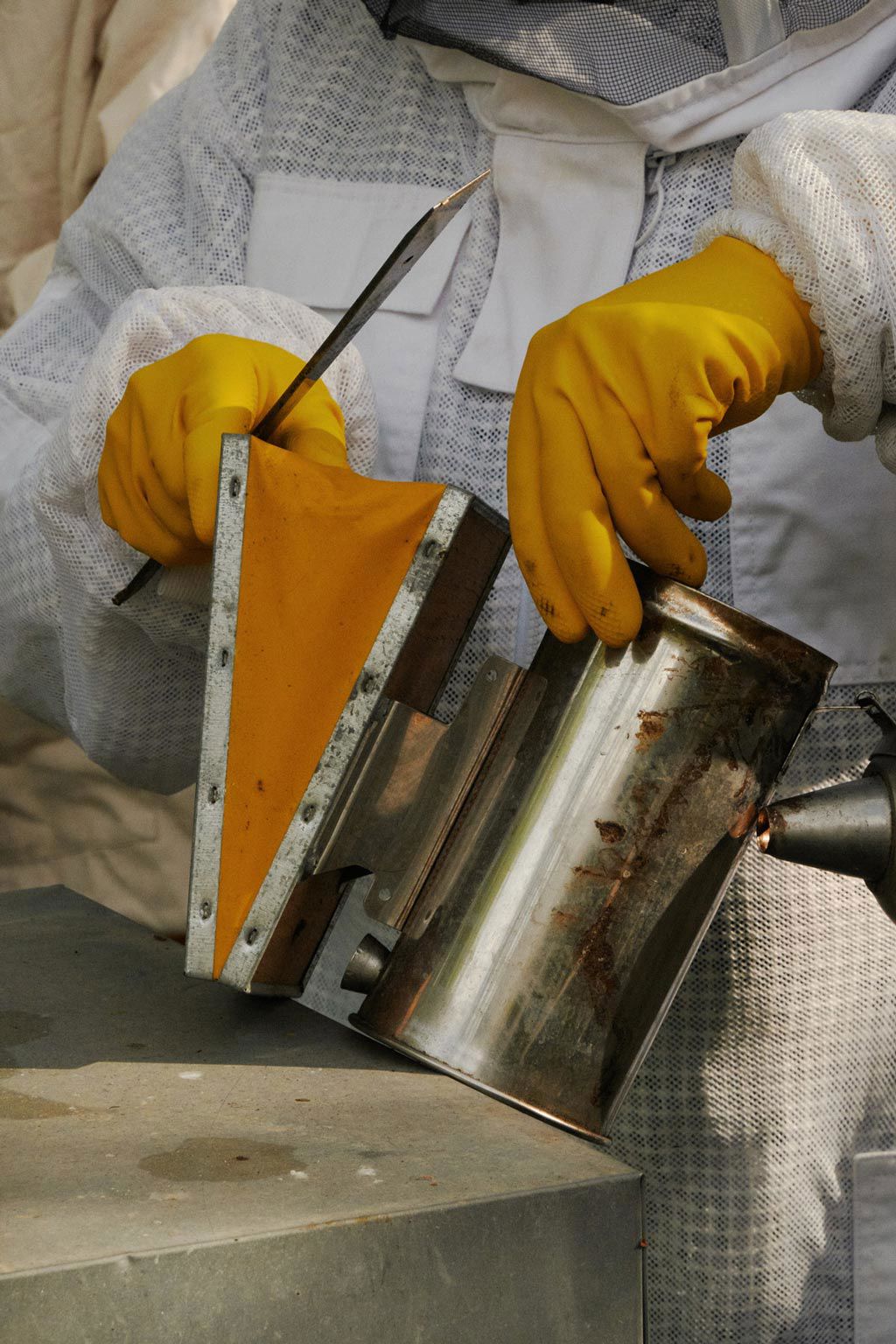 Capovaticano Resort - Ursino Bio 20