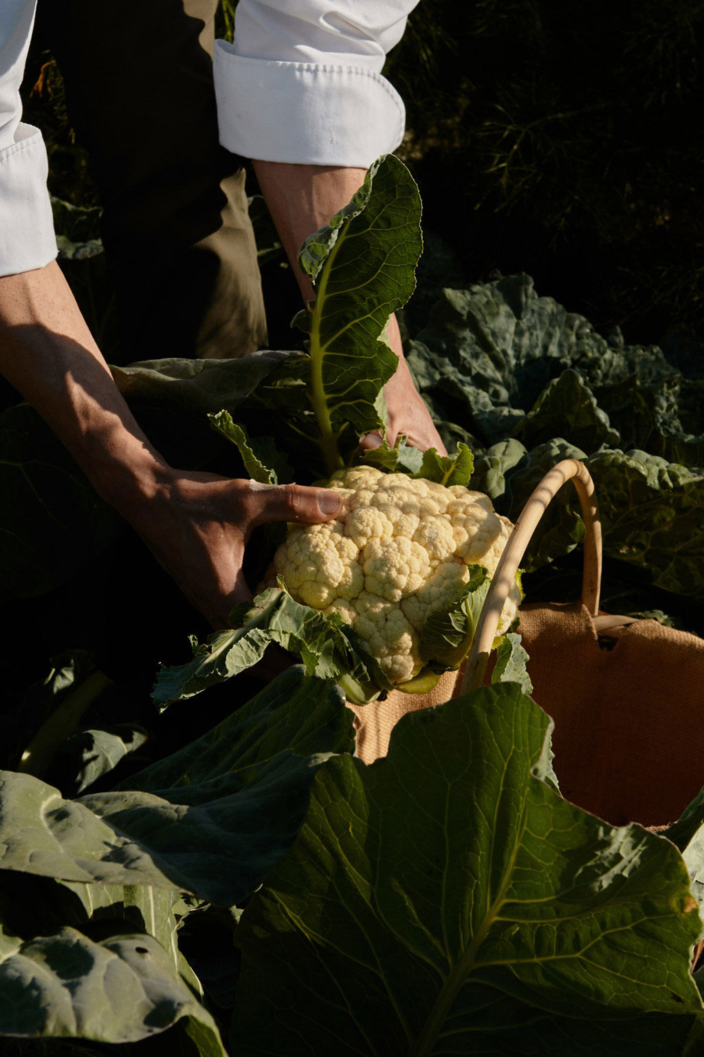 Capovaticano Resort - Gärten der Villa Paola 20