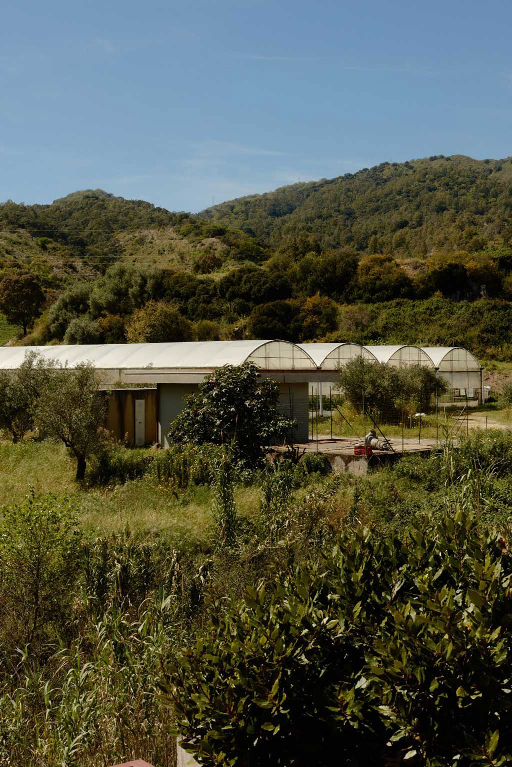 Capovaticano Resort - Migliarese preserves 20 Capovaticano Resort - Migliarese preserves 20