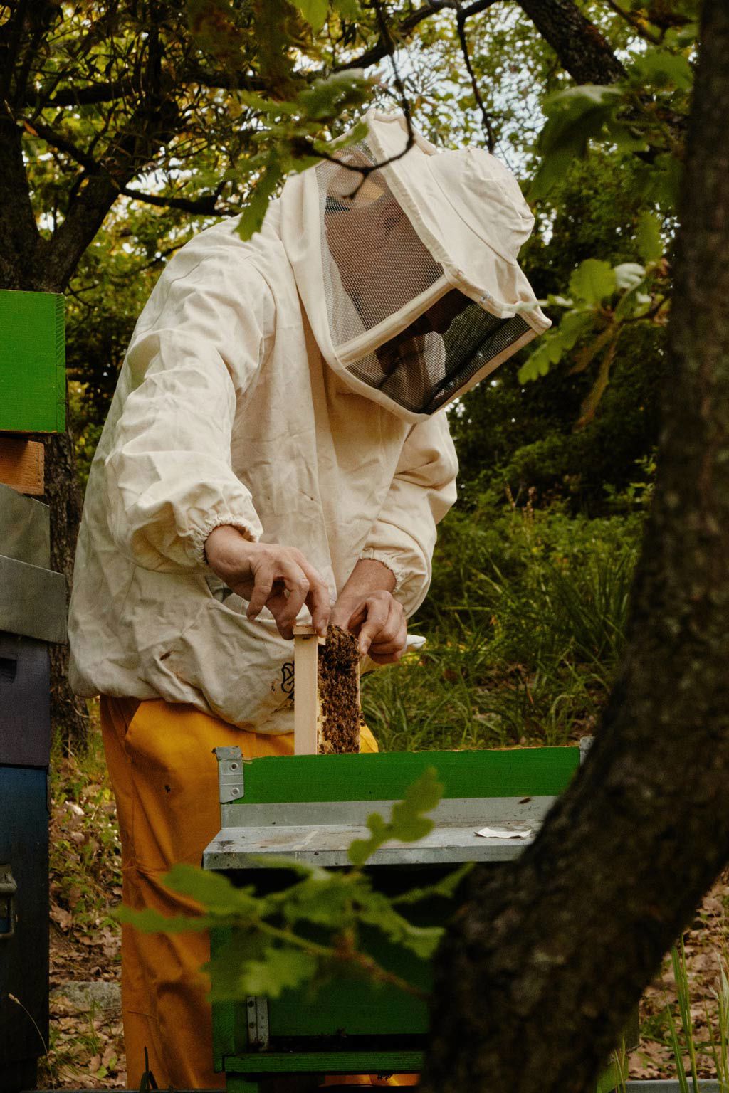 Capovaticano Resort - Ursino Bio 20