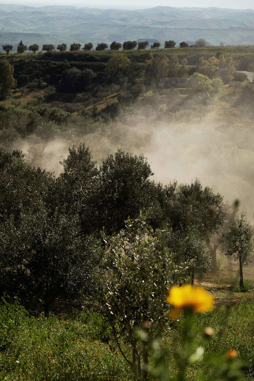 Capovaticano Resort - La Valle-Öl 20 Capovaticano Resort - La Valle-Öl 20