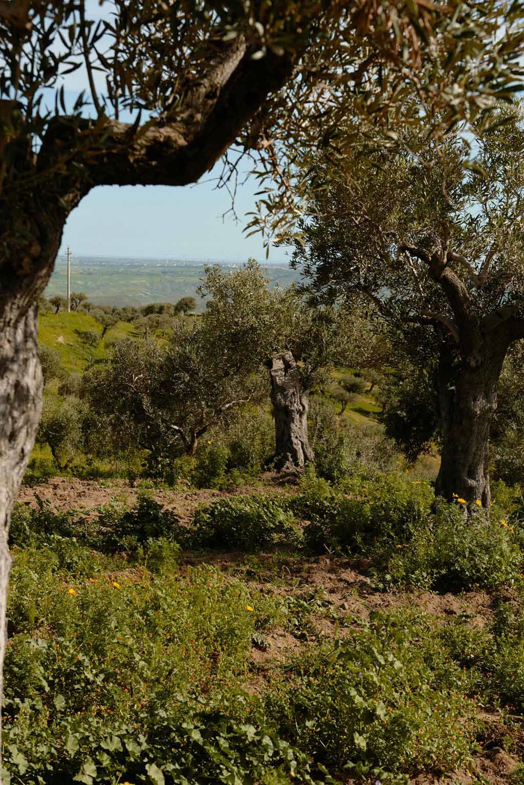 Capovaticano Resort - La Valle-Öl 20 Capovaticano Resort - La Valle-Öl 20