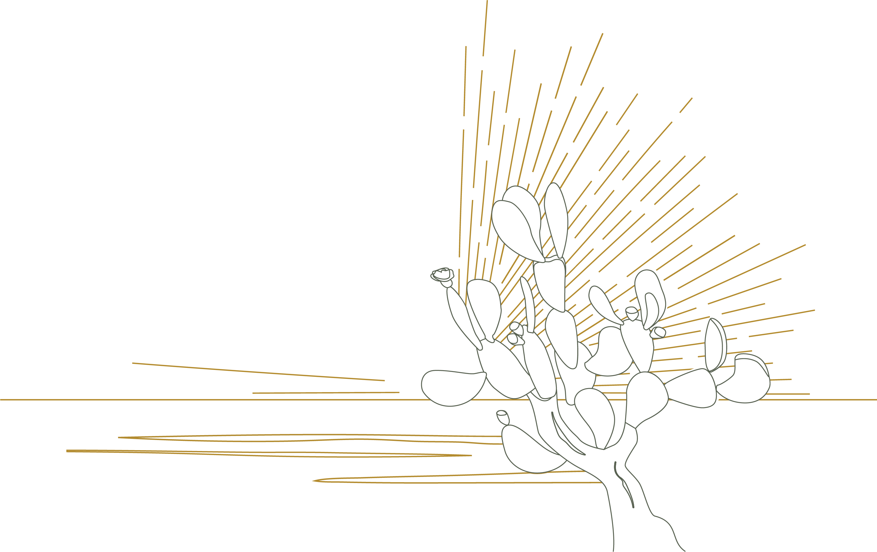 Capovaticano Resort - Belvedere Bar 20 Capovaticano Resort - Belvedere Bar 20