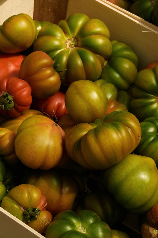 Capovaticano Resort - Stromboli Restaurant 20 Capovaticano Resort - Stromboli Restaurant 20