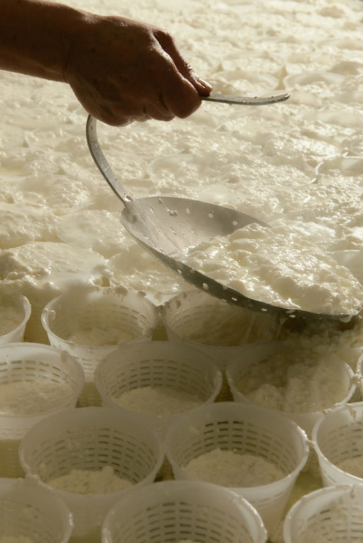 Capovaticano Resort - Prima colazione 19 Capovaticano Resort - Prima colazione 19