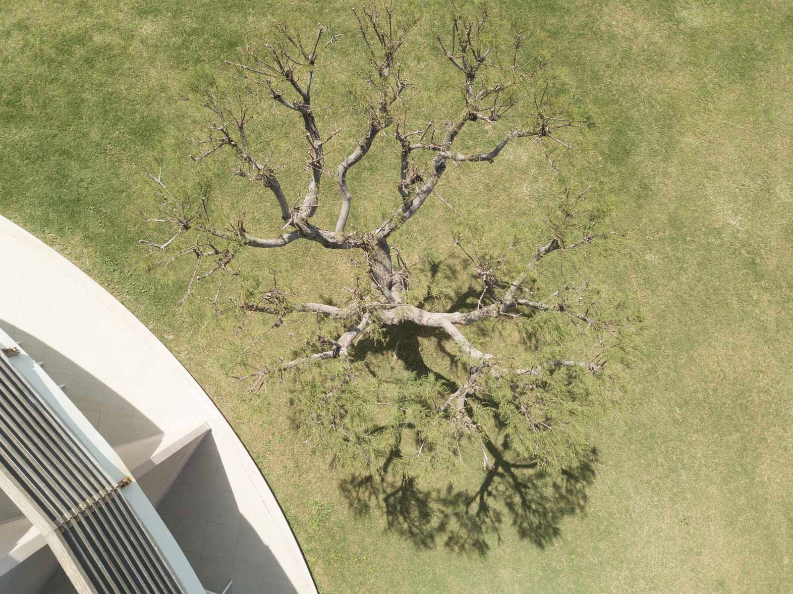 Capovaticano Resort - Inspired by nature 19 Capovaticano Resort - Inspired by nature 19