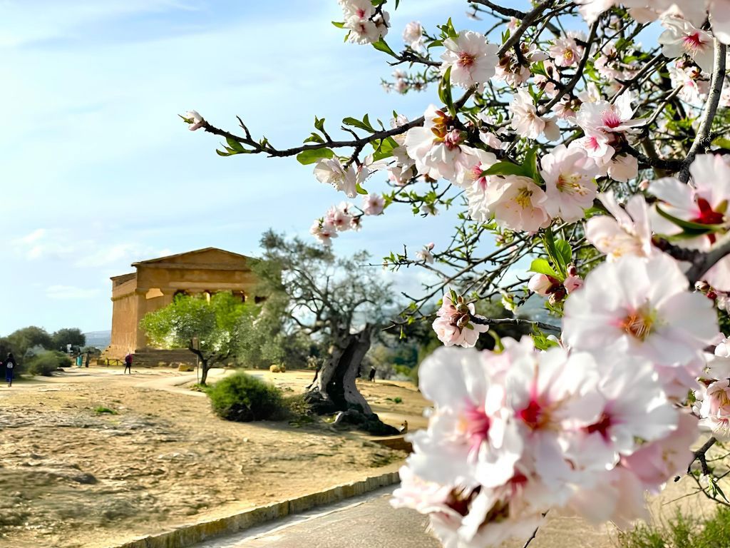 Hotel Villa Athena - Experiences 3 Hotel Villa Athena - Experiences 3