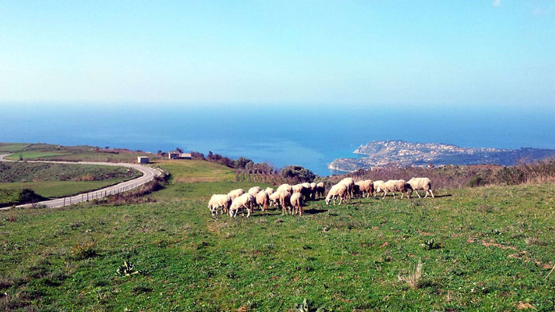 Esperienze 12
