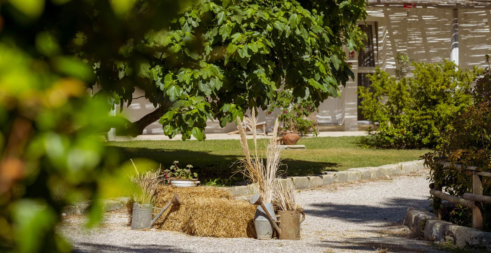 Pic Nic in Masseria nel Salento 5