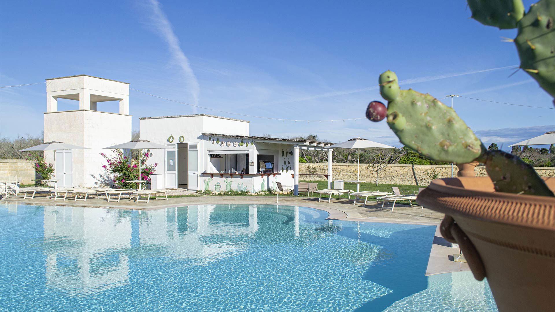 Flavor and relaxation, any time of day 4