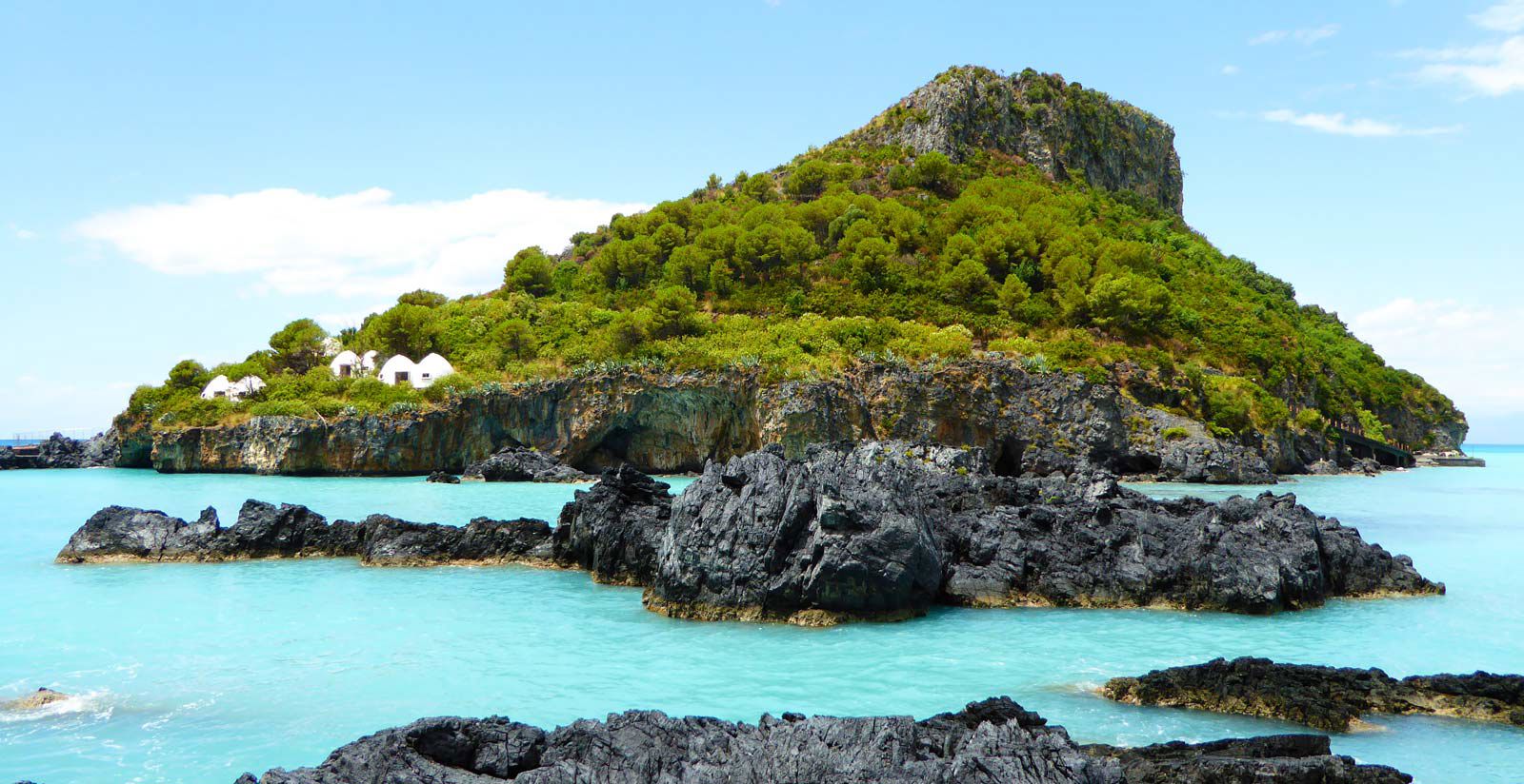 The Island of Dino 4