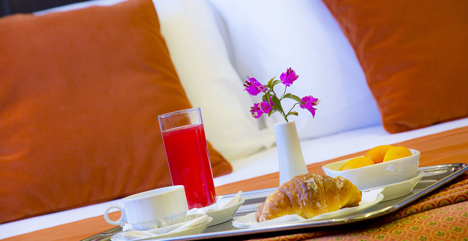 Colazione panoramica a Roma  7